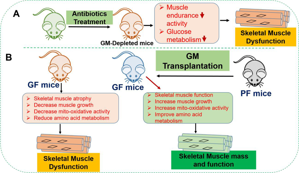 Figure 3: