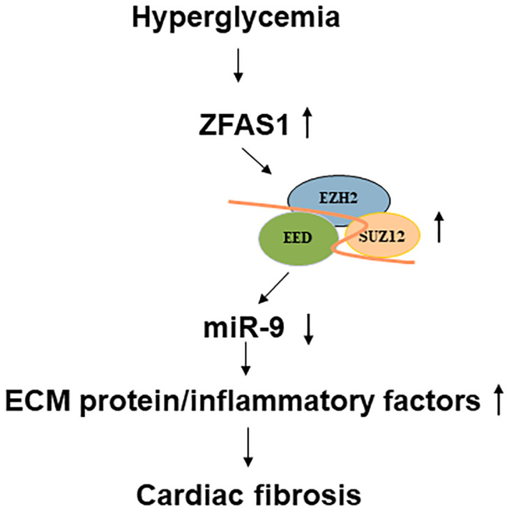 Fig 5