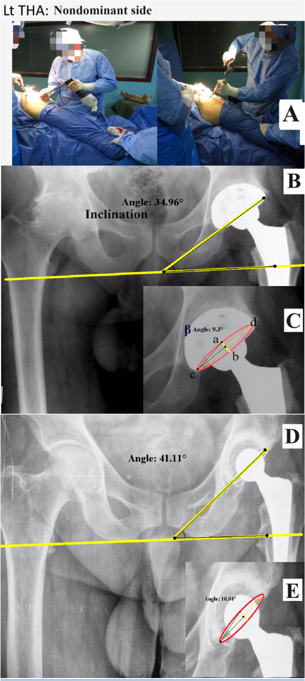 Fig. 3