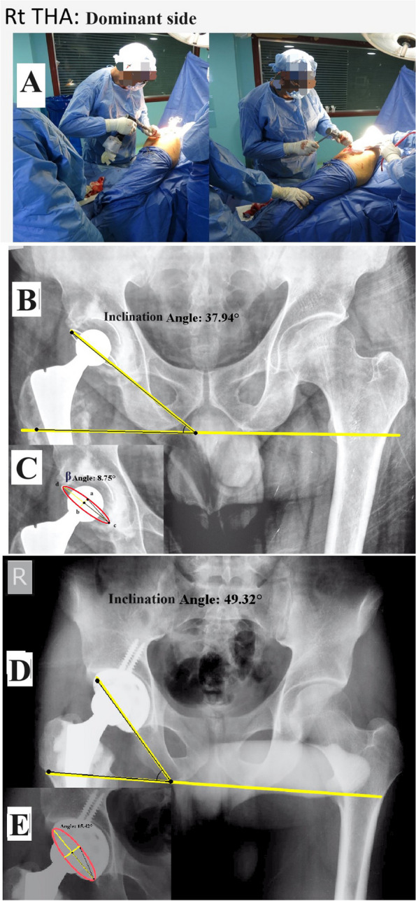 Fig. 2