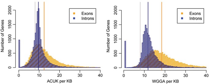 Figure 2.