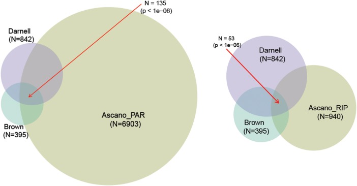 Figure 1.