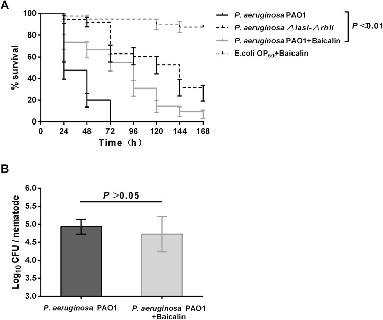 Fig 10