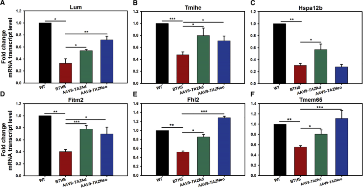 Figure 6