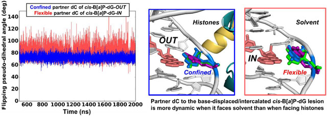 graphic file with name nihms-1067533-f0001.jpg