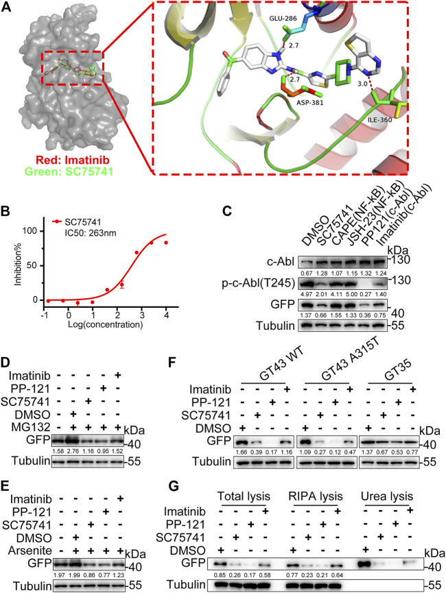 FIGURE 4