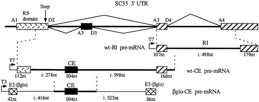 graphic file with name cde159f5.jpg