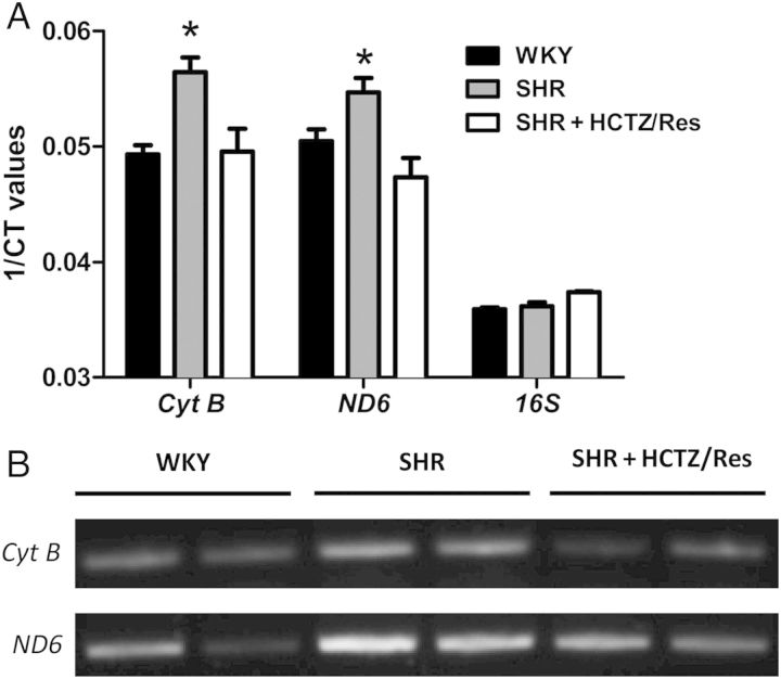 Figure 1