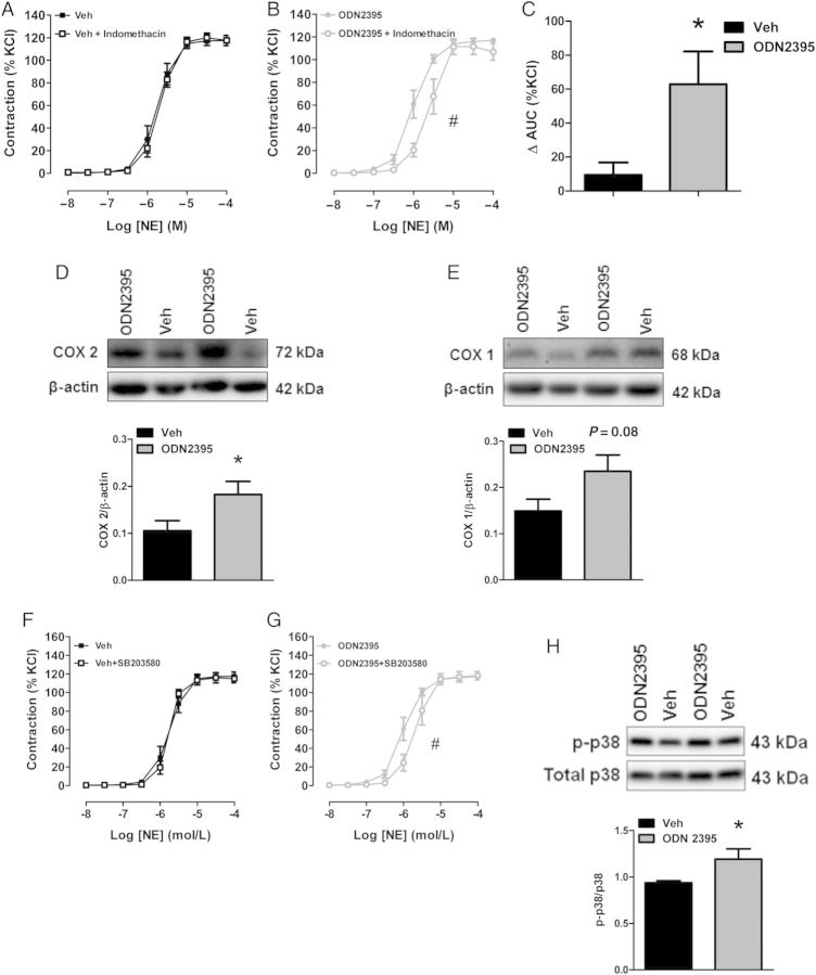 Figure 7