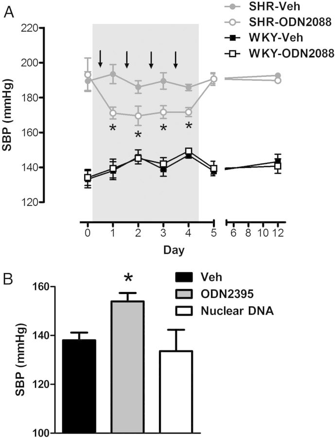 Figure 5