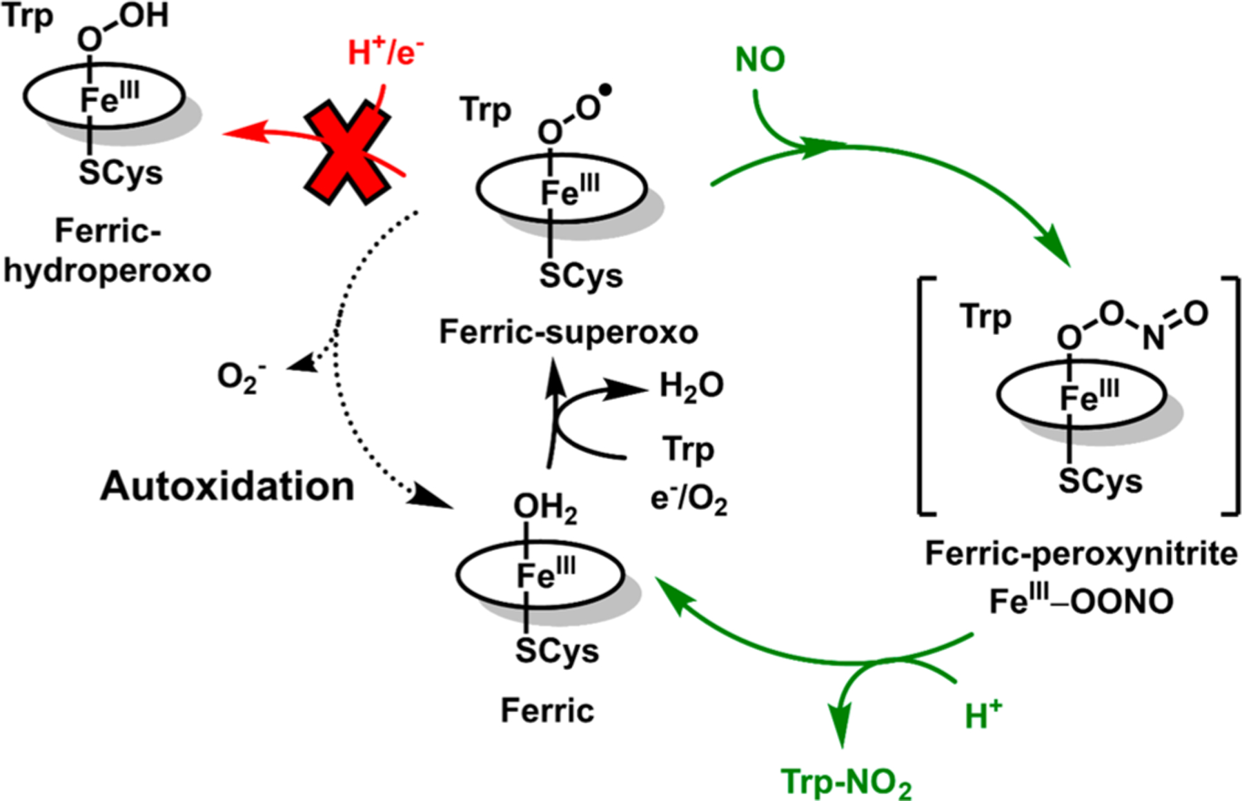 Figure 6.