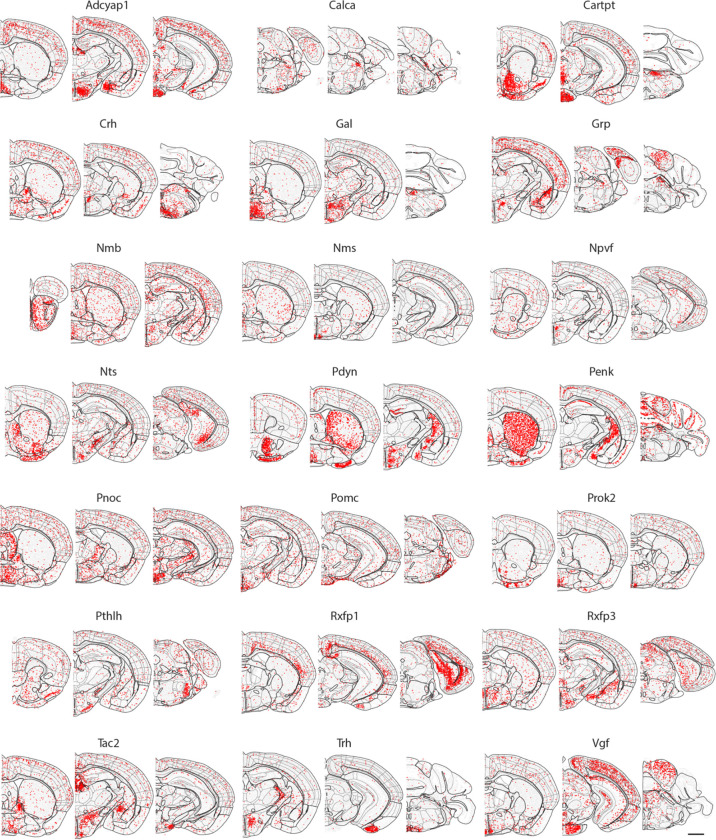 Extended Data Figure 5 |