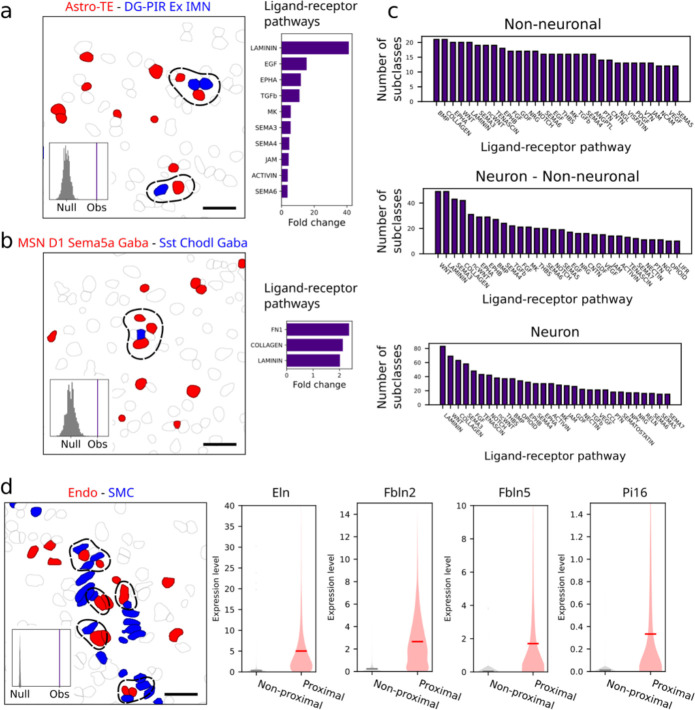 Extended Data Figure 10 |