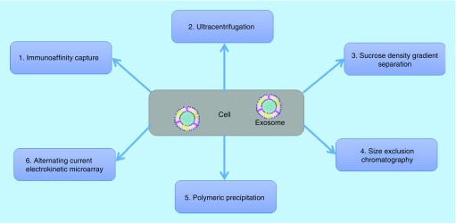 Figure 6. 