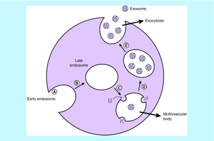 Figure 2. 