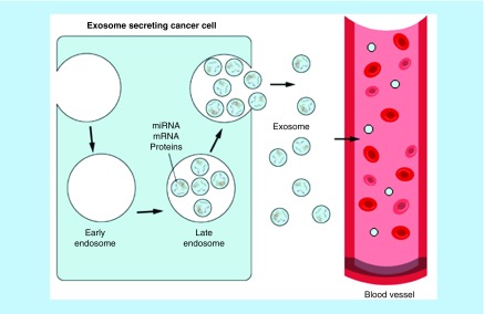 Figure 3. 