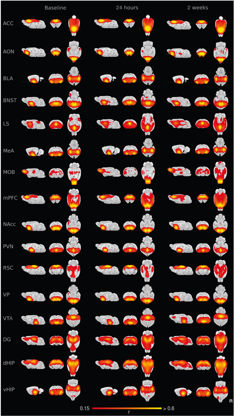 Figure 1—figure supplement 4.