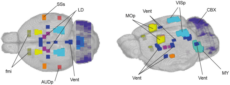 Figure 5—figure supplement 1.