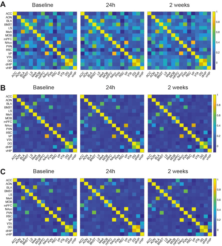 Figure 1—figure supplement 2.