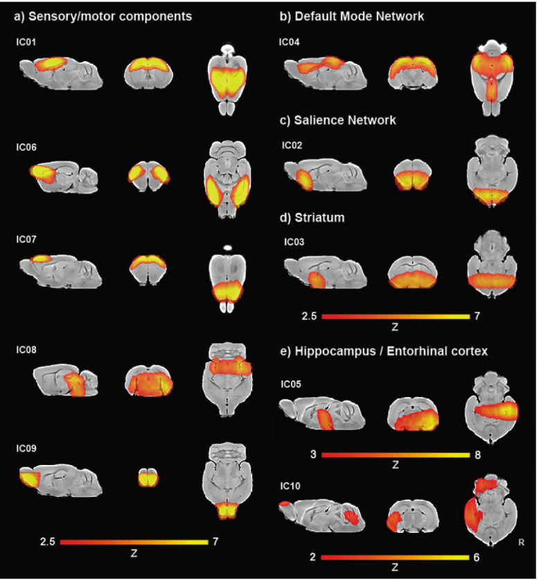 Figure 5—figure supplement 2.