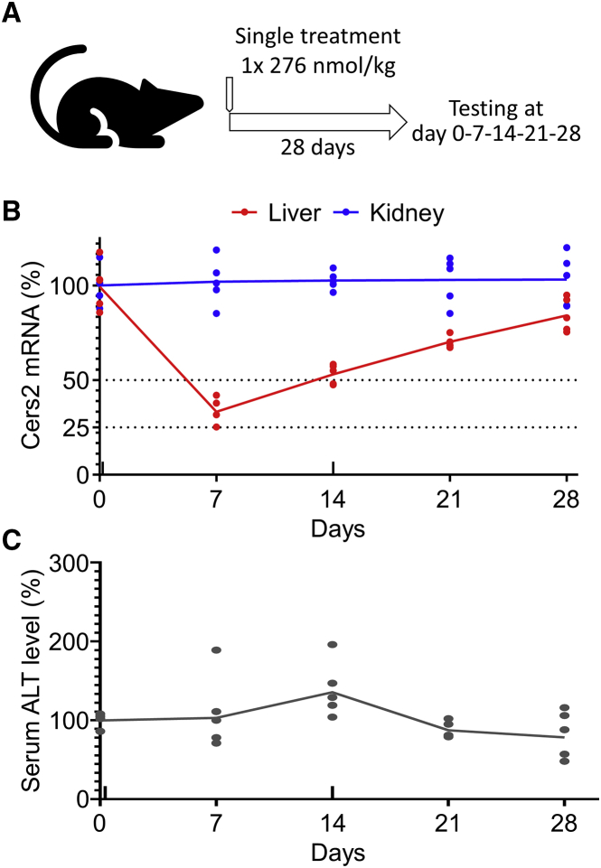 Figure 5