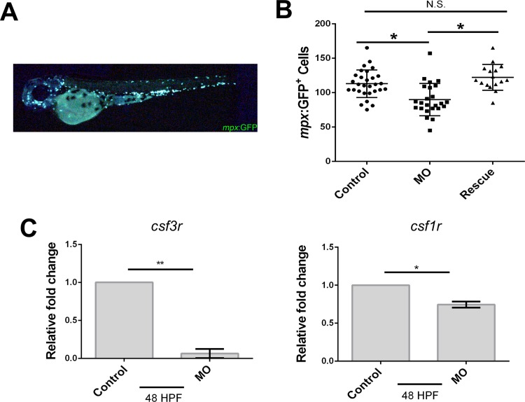 Fig 3