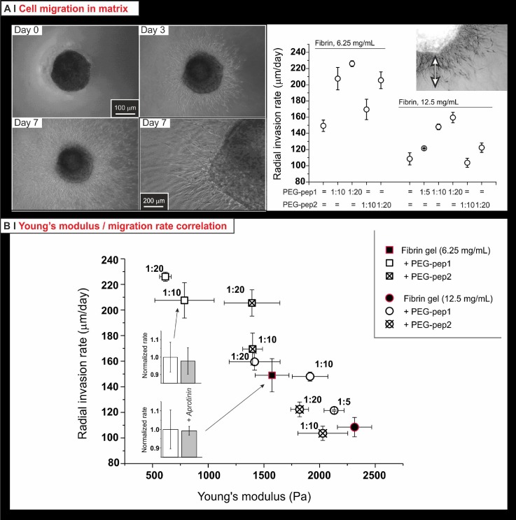 FIG. 8.