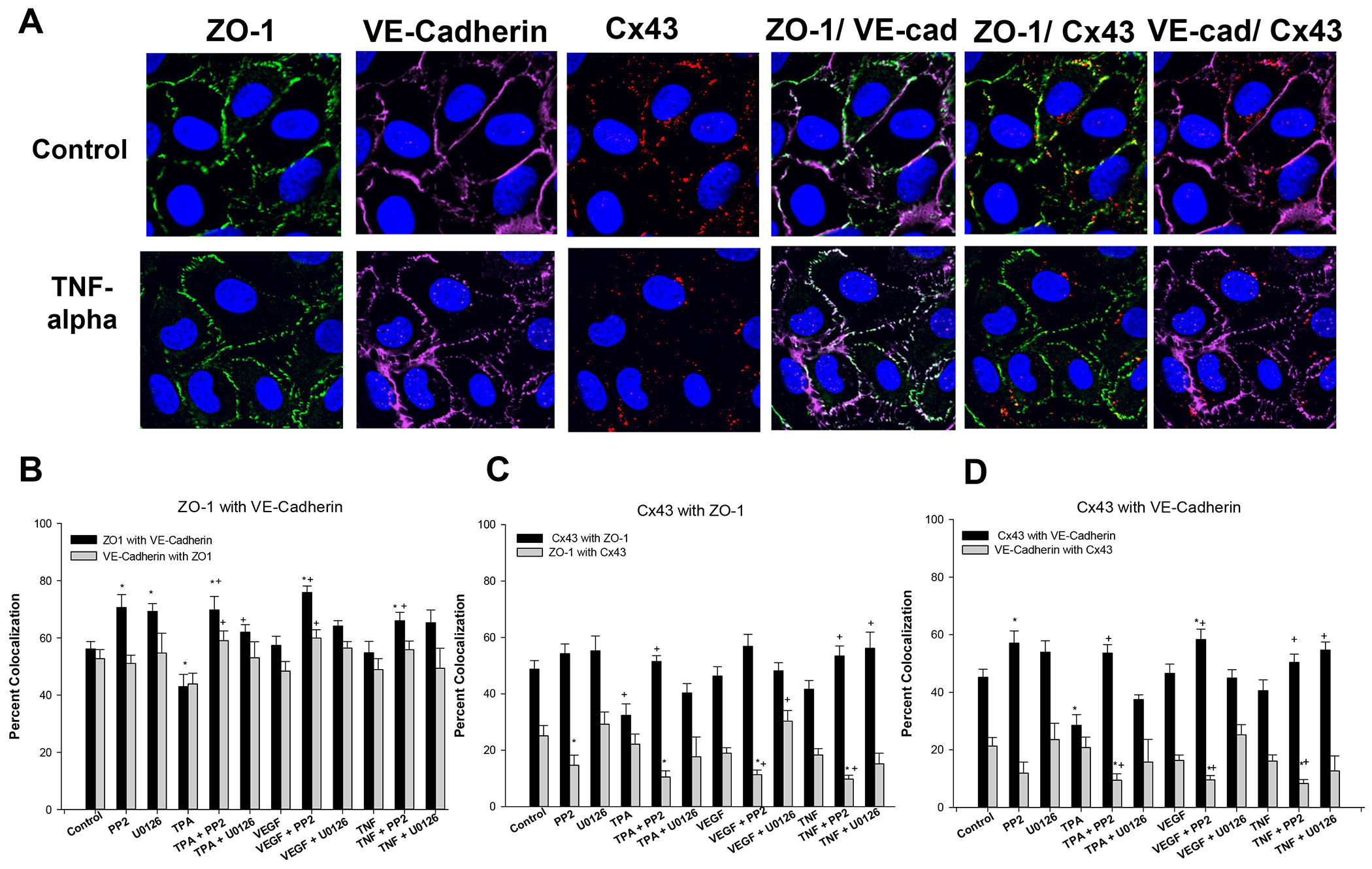 Figure 4: