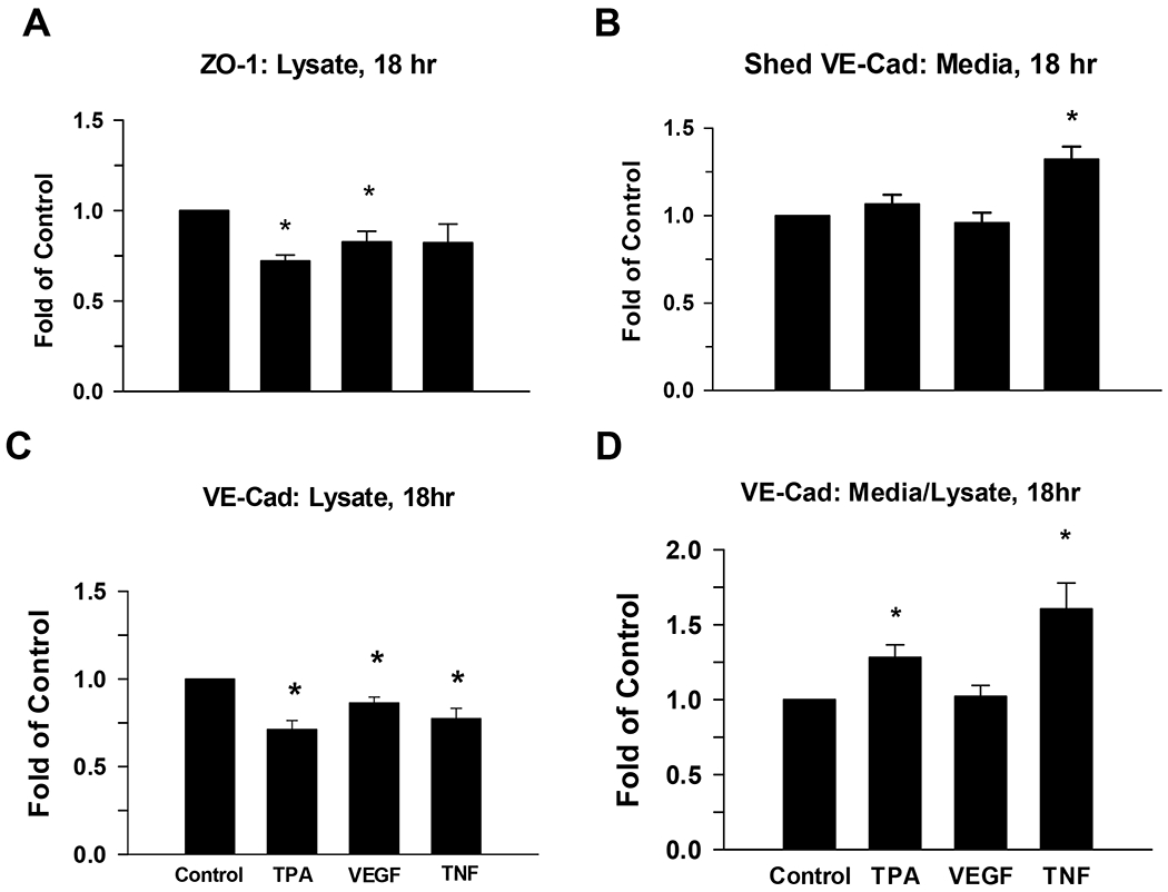 Figure 6: