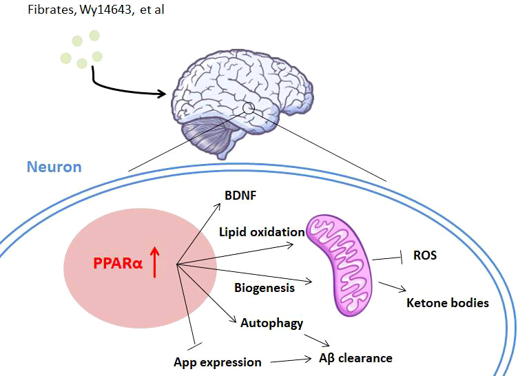 Figure 3