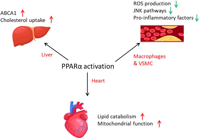 Figure 4