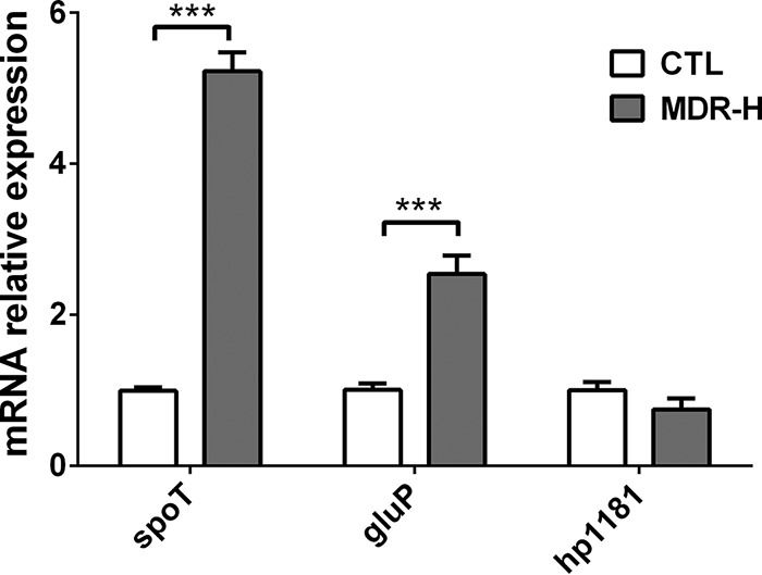 FIG 4