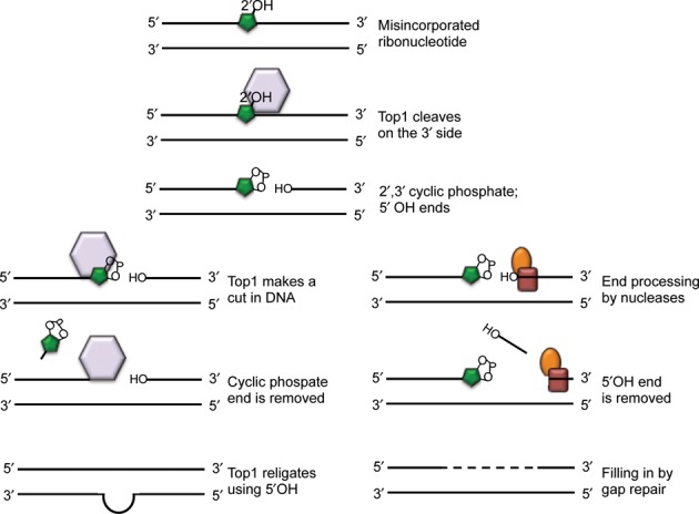 Figure 3.