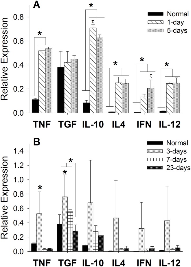 Fig 6