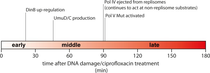 Fig 7