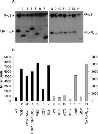 FIG. 7.