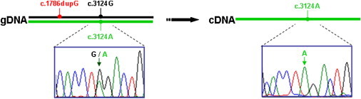 Figure 3