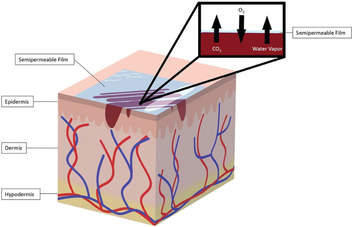 FIGURE 2