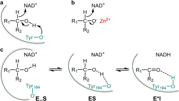 Scheme 2