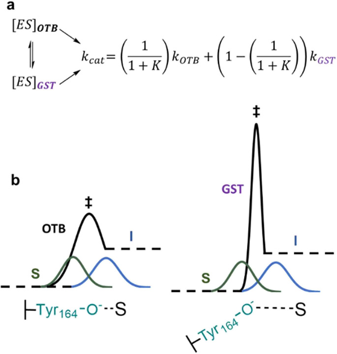 Scheme 4