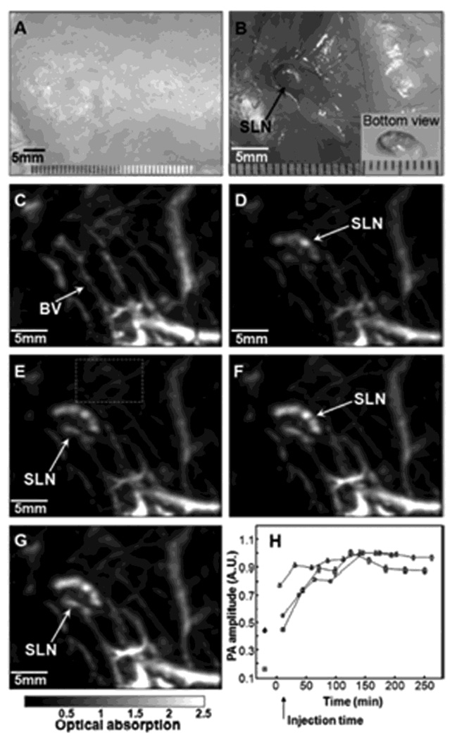 Figure 35