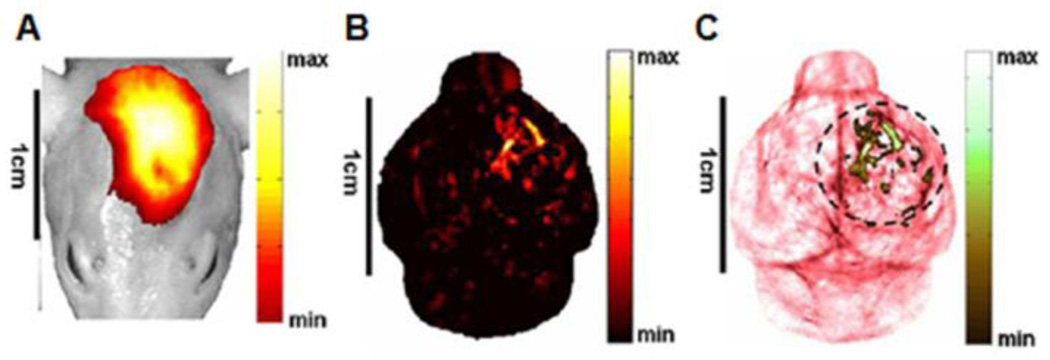 Figure 28