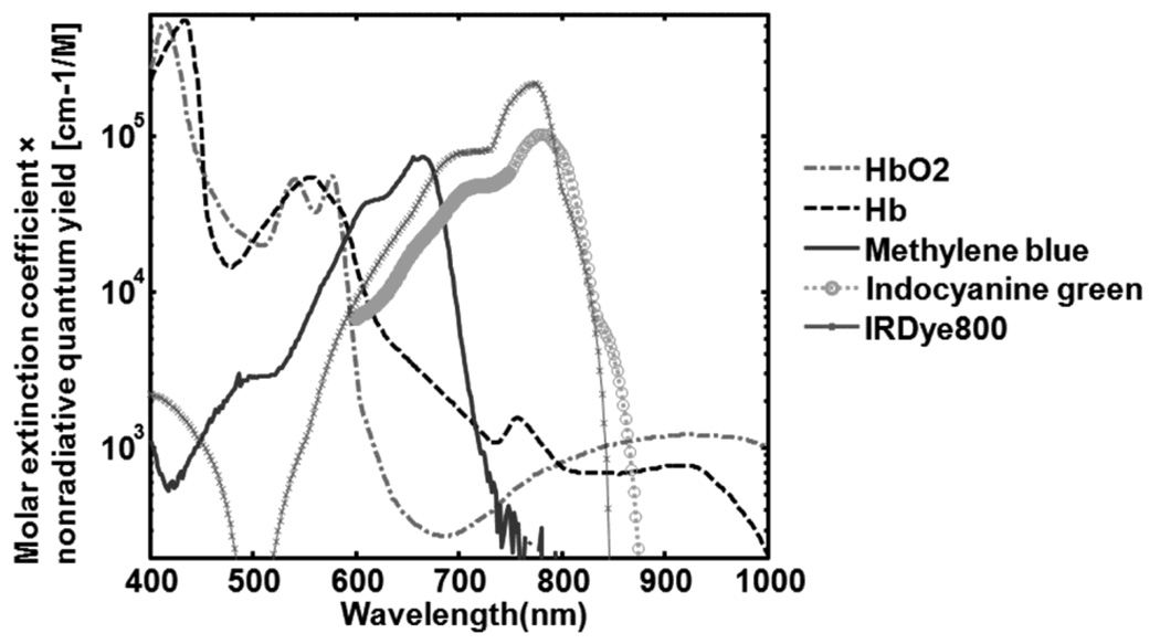 Figure 31