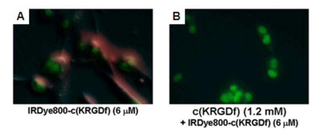 Figure 27