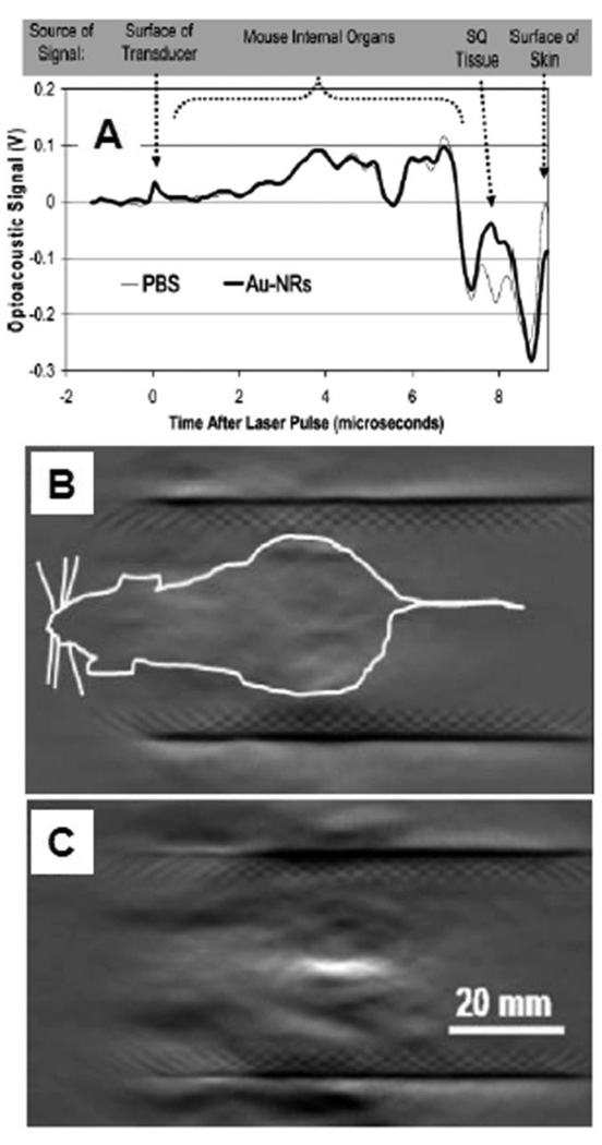 Figure 40