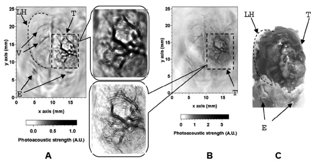 Figure 20