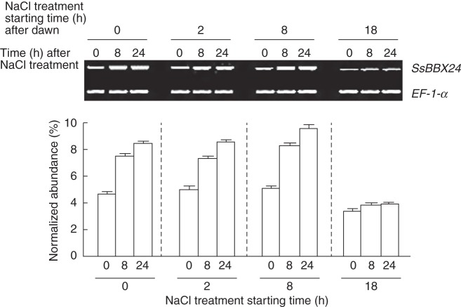 Fig. 8.