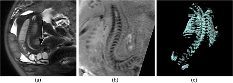 Figure 7.