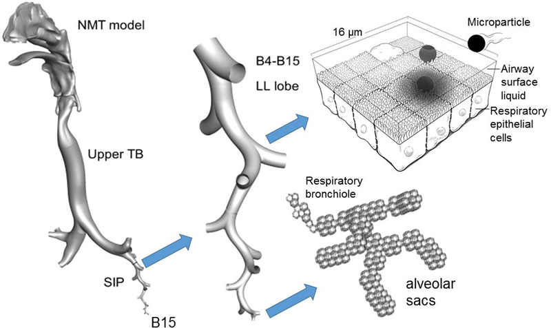 Figure 2.