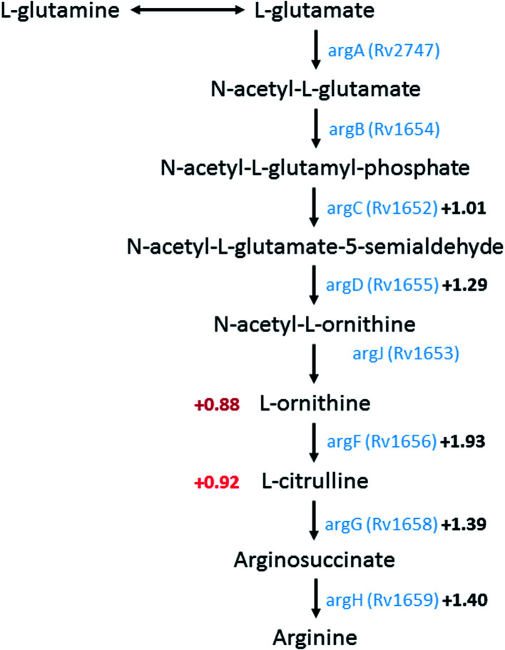 Fig. 2